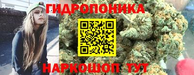 стаф Комсомольск-на-Амуре