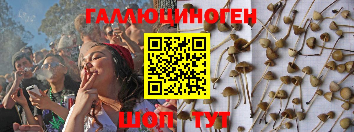 Псилоцибиновые грибы Psilocybe  купить наркотики сайты  Великий Устюг  Вход с VPN 