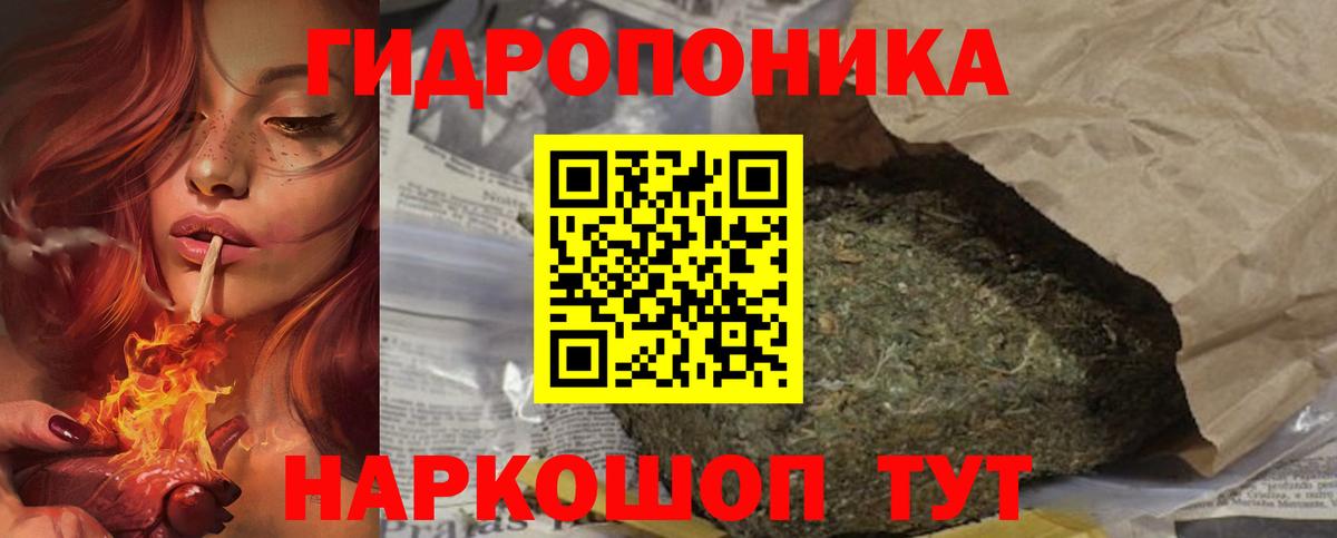 Каннабис планчик Великий Устюг